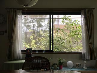 スタイルシェード