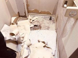 トイレを回収しクロスを剥がすと…