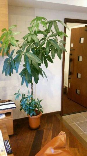 DSC_0940.JPGのサムネイル画像