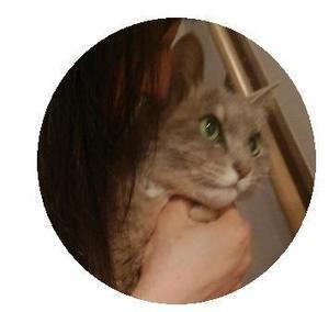 増渕家ねこ2.jpgのサムネイル画像