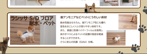 ペットインテリア3.png