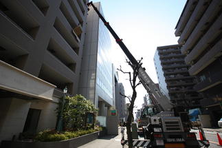 ずっしり構える天板はどのようにやってきたのか？