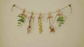 末竹.jpgのサムネイル画像