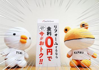 フル ページ写真.jpg