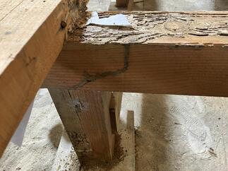 現地調査で発見！シロアリ被害