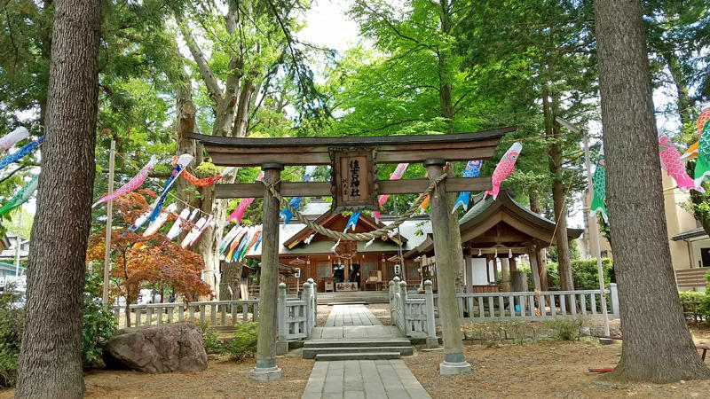 こいのぼり神社.jpg