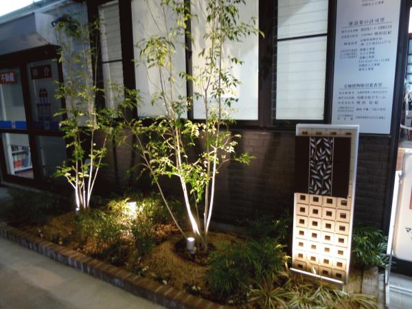 2016-11-18 17.38.50.jpg