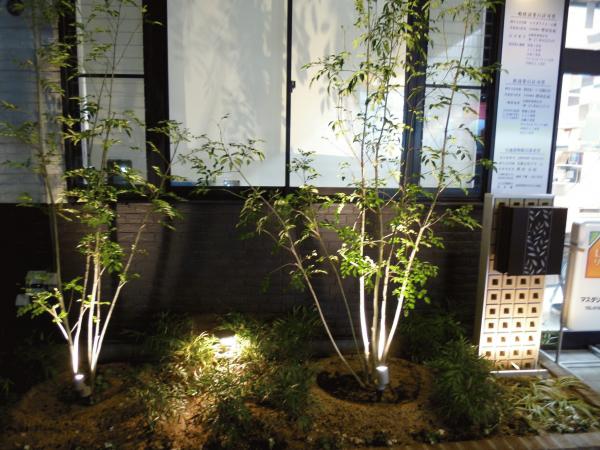 2016-11-18 17.39.00.jpg