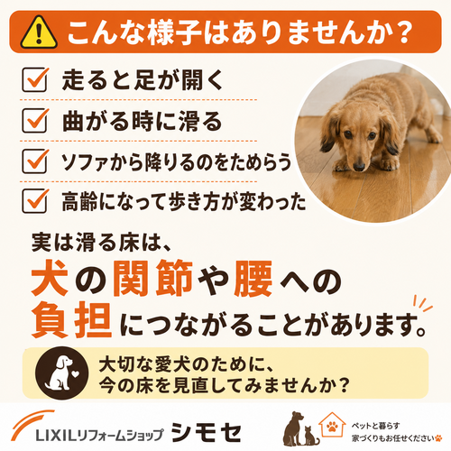 ChatGPT Image 2026年6月12日 13_07_27.png