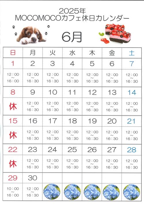 MOCOMOCOカフェ6月カレンダー.jpg