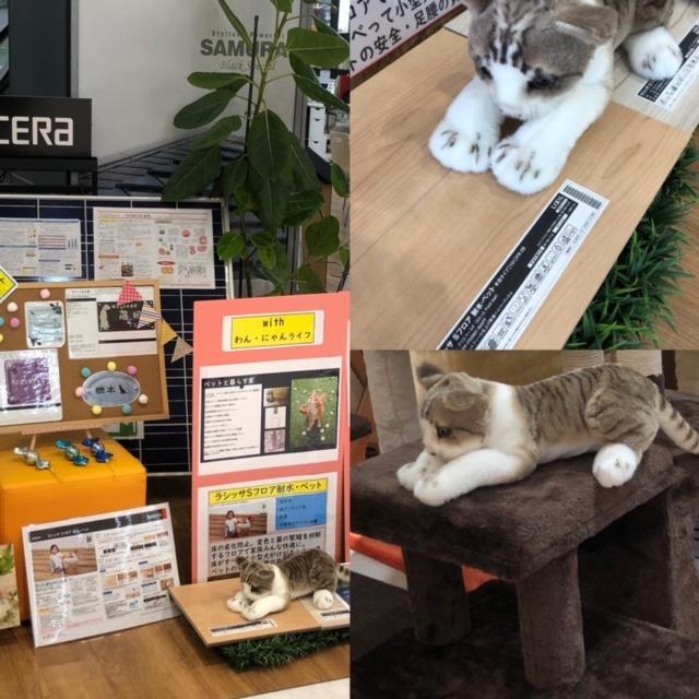 305E8DBD-21CC-436C-89AB-ED4132FF320D (1).JPG