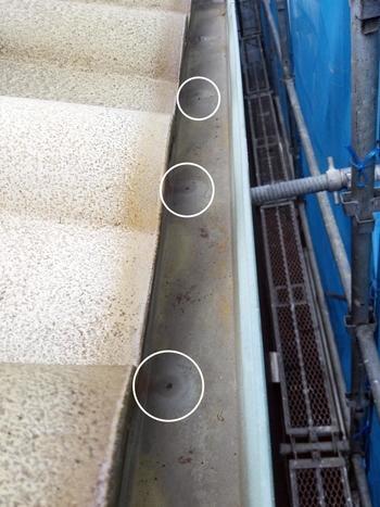 N様邸 雨樋Before_20191007  (2).jpg