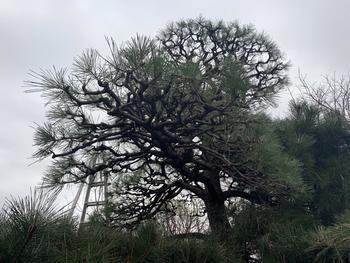 Y様邸_20200130 (3).jpg