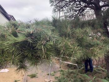 Y様邸_20200130 (1).jpg