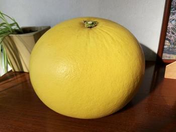 K様邸_20200212 (3).jpg