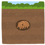 地中　せみ.png