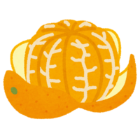 みかん.png