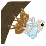 セミの羽化.png