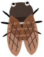 セミ.png