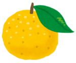 fruit_yuzu.png