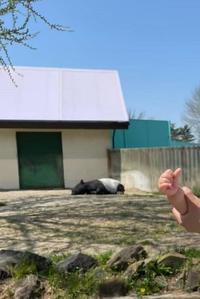 Bakuとつむぎちゃん２ - コピー.jpg