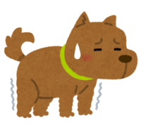 inu_ashi_yowaru.png