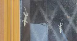 22938 - コピー - コピー.jpg