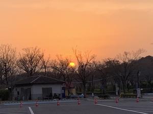 散歩の朝焼け.jpg