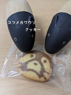 クッキー.jpg
