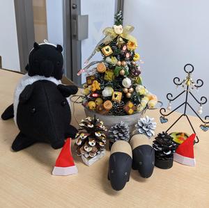 PXL_20231122_070220941 - コピー.jpg