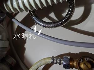 LINE_ALBUM_金子園長（染谷幼稚園）ご自宅_240209_5 - コピー.jpg