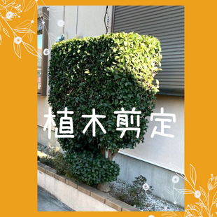 さいたま市　U様邸　「植木剪定」