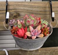 S__71499961_0 - コピー.jpg