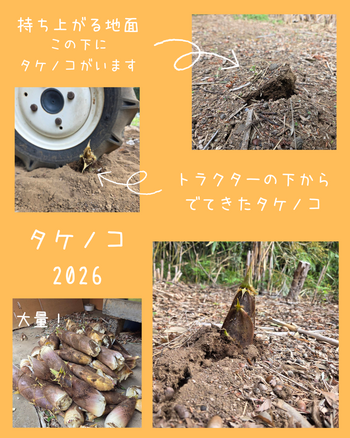 持ち上がる地面.png