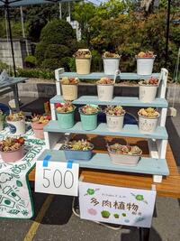 LINE_ALBUM_第11回20260418_260420_15.jpg
