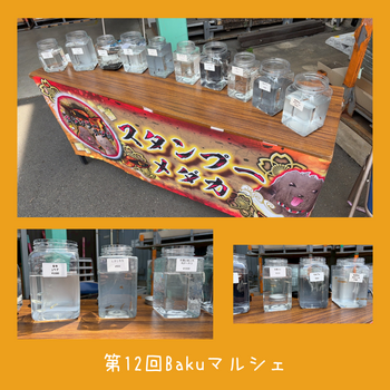 第12回マルシェのコピーのコピーのコピー.png