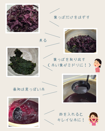 葉っぱだけを はずす.png