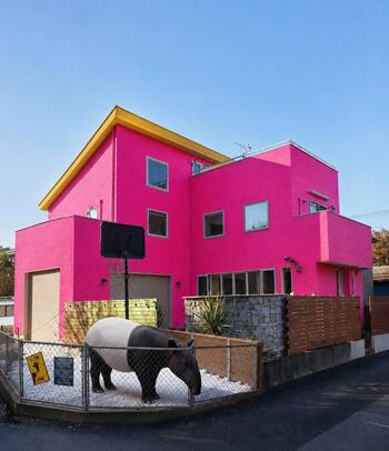 9513.jpg