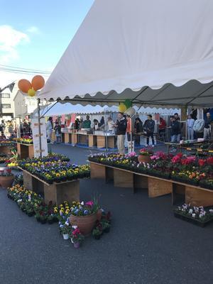 IMG_0732.JPGのサムネイル画像