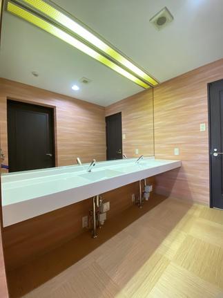 LIXIL　マーベリーナカウンター　2ボールタイプ