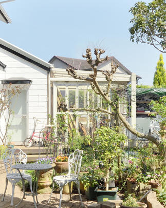 室内にいても外にいても楽しめるガーデンスペース。