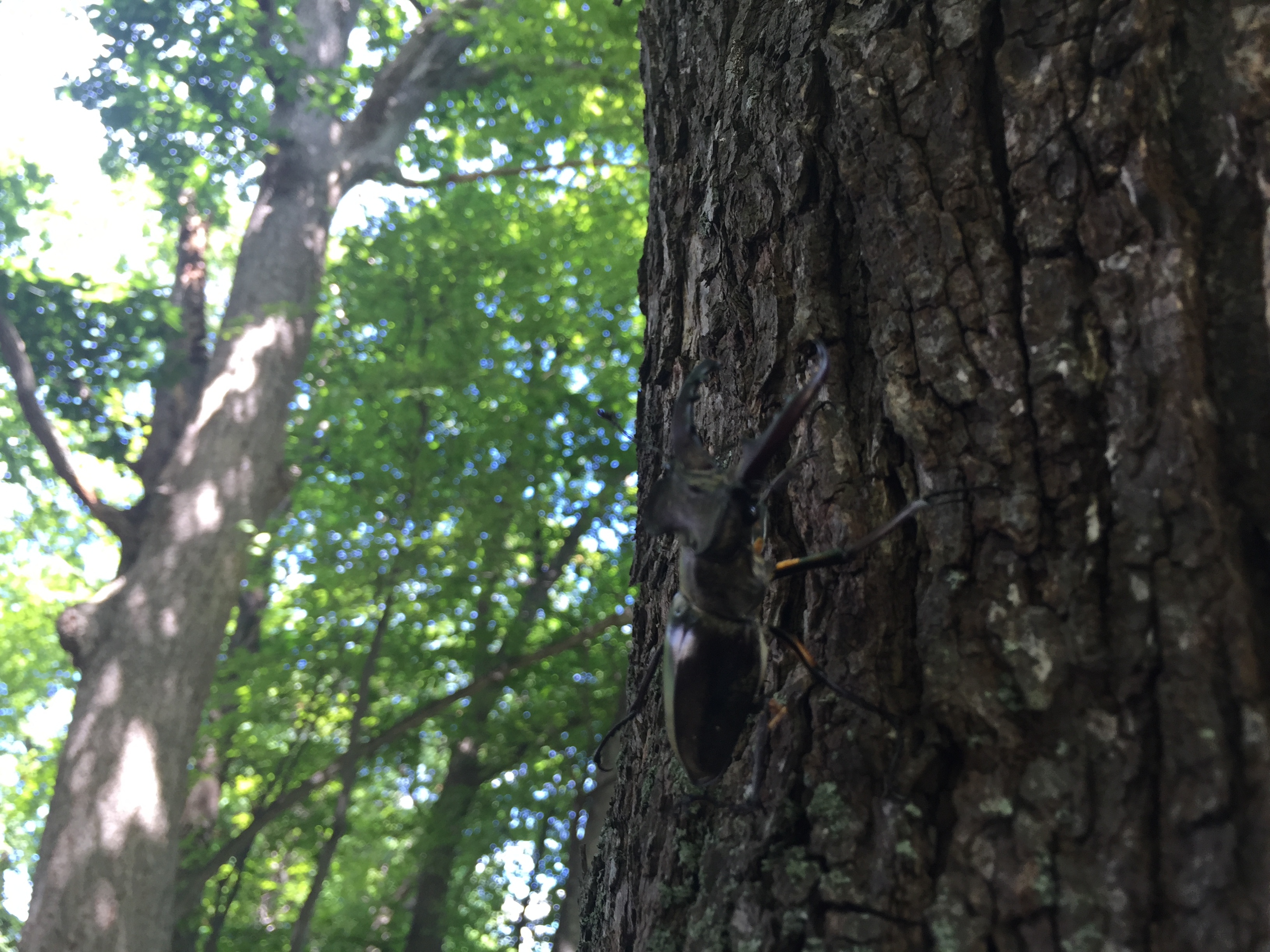 写真 2016-08-10 10 49 17.jpg