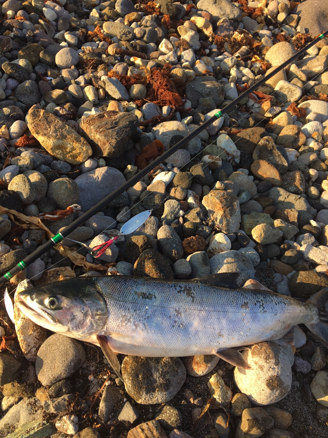 写真 2016-09-15 8 05 38.jpg