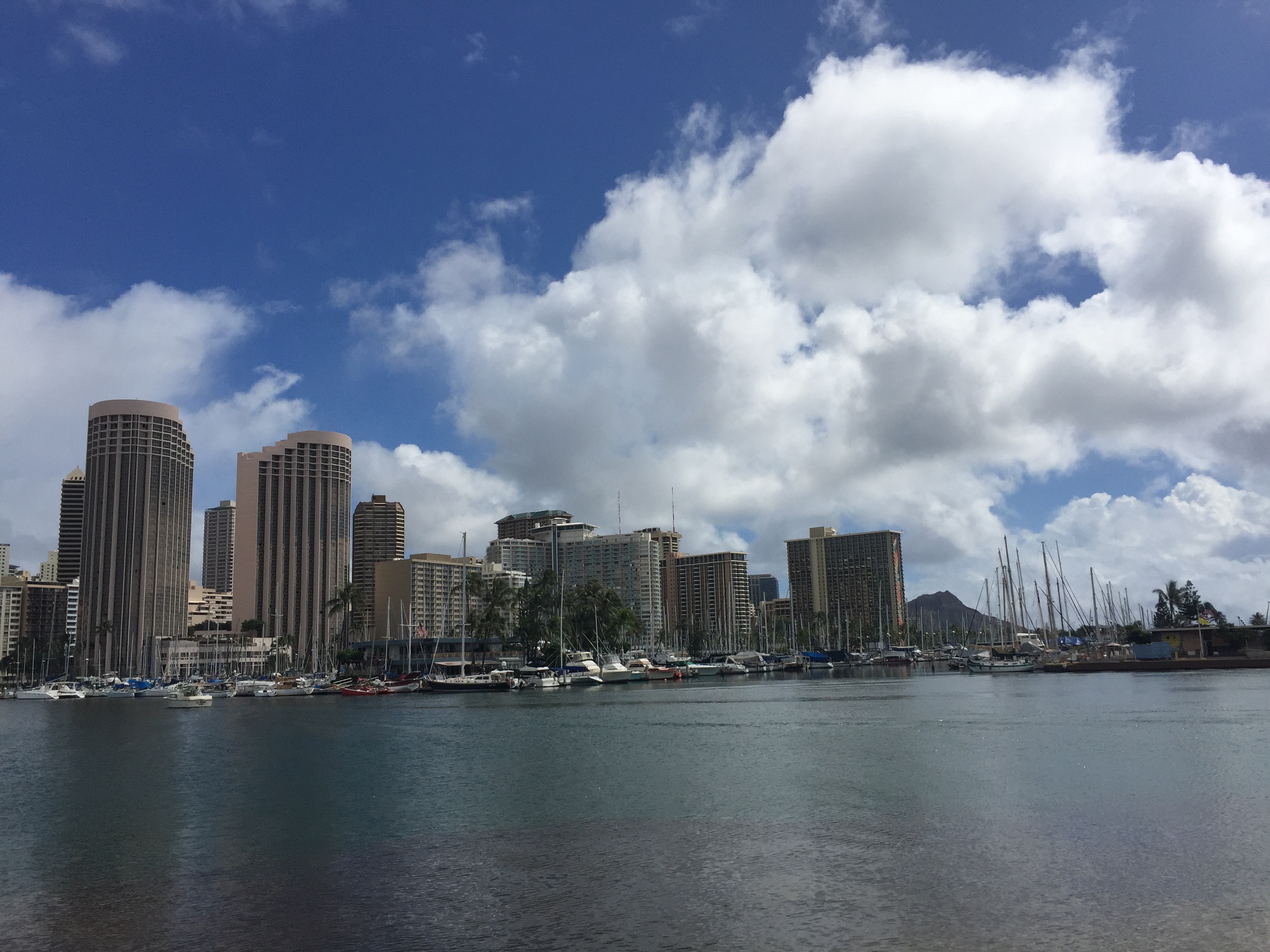 写真 2017-01-25 7 34 30.jpg