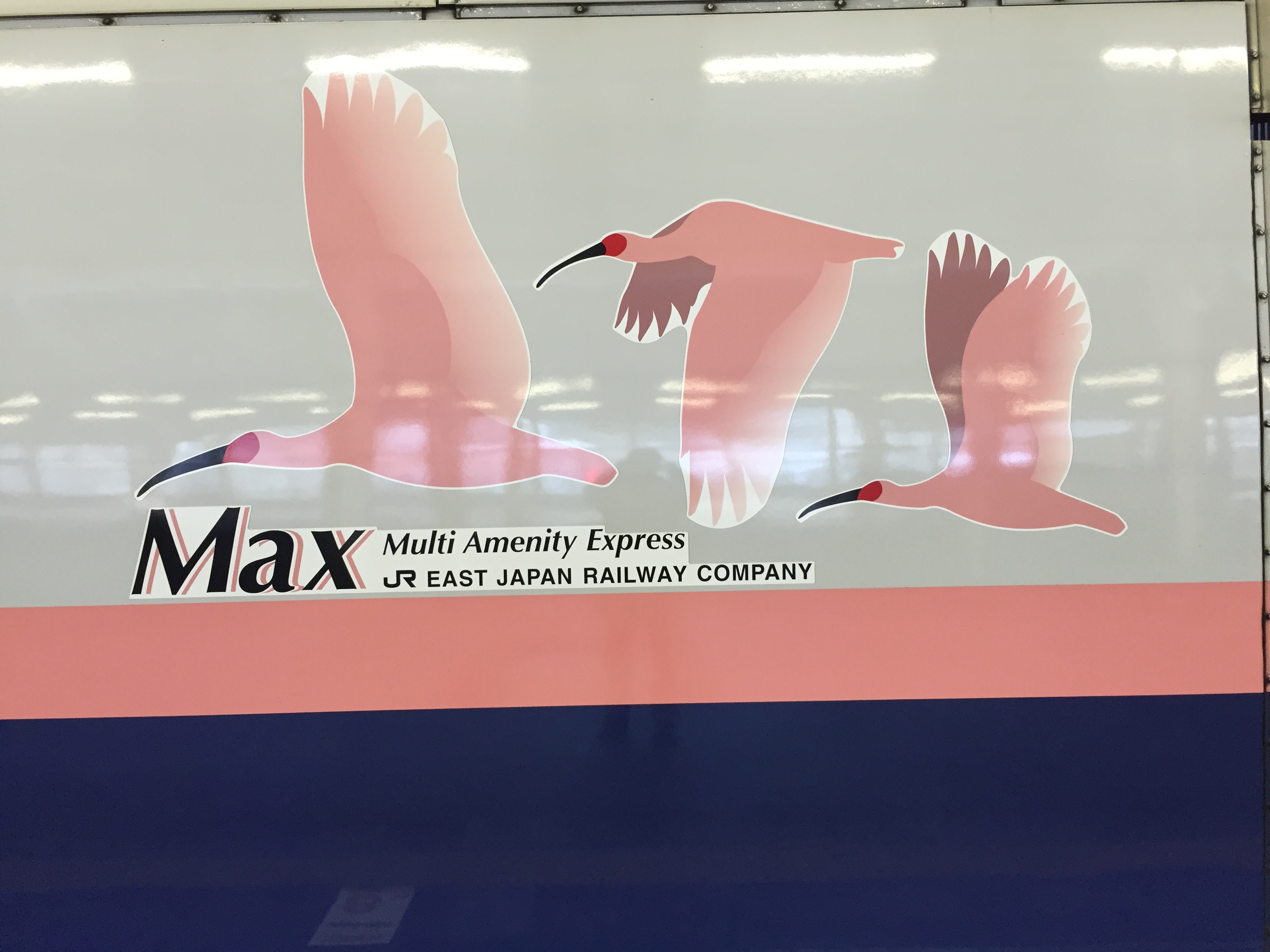 2016-01-02 15.08.07.jpg