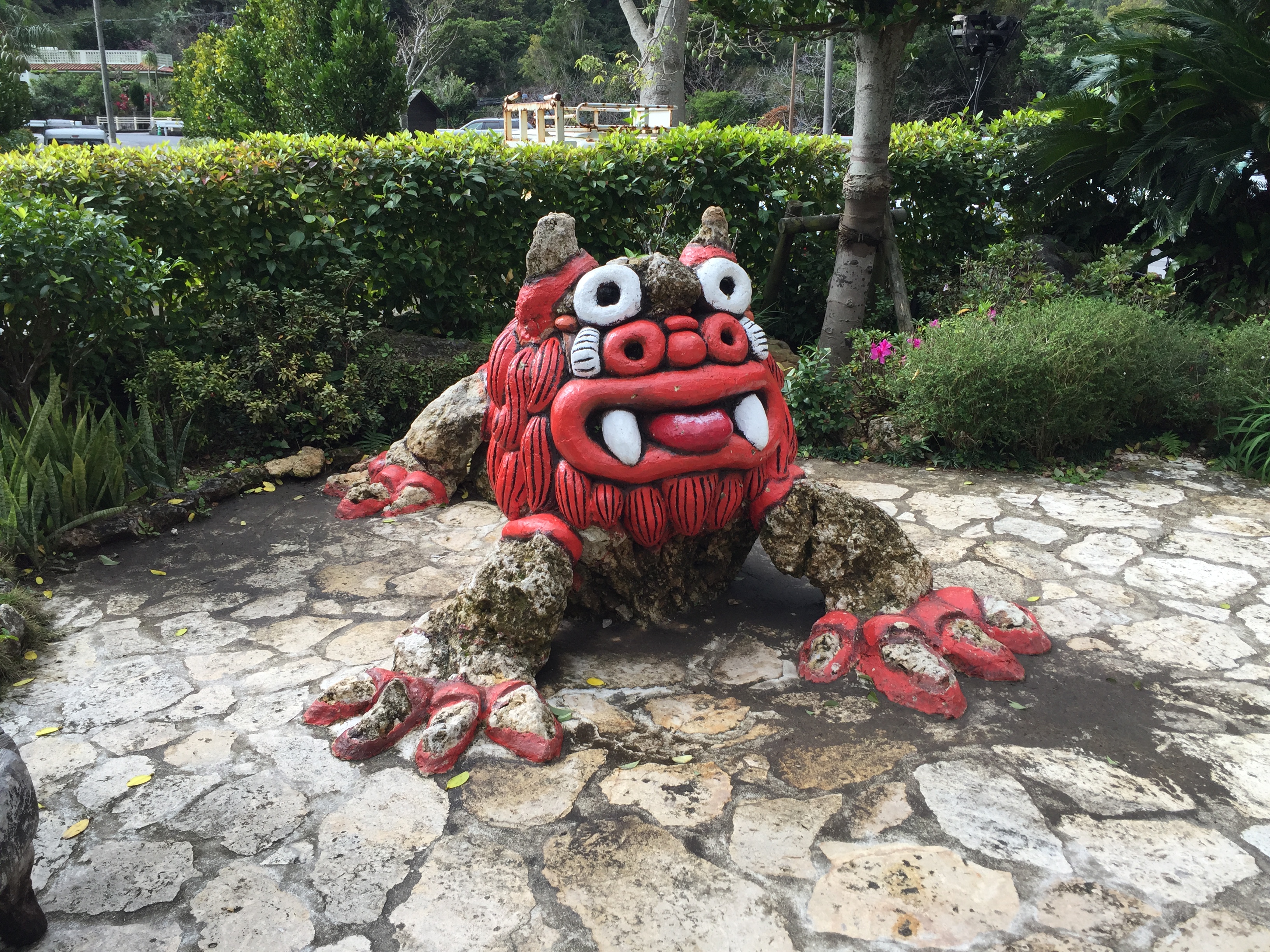 2016-01-22 11.30.30.jpg