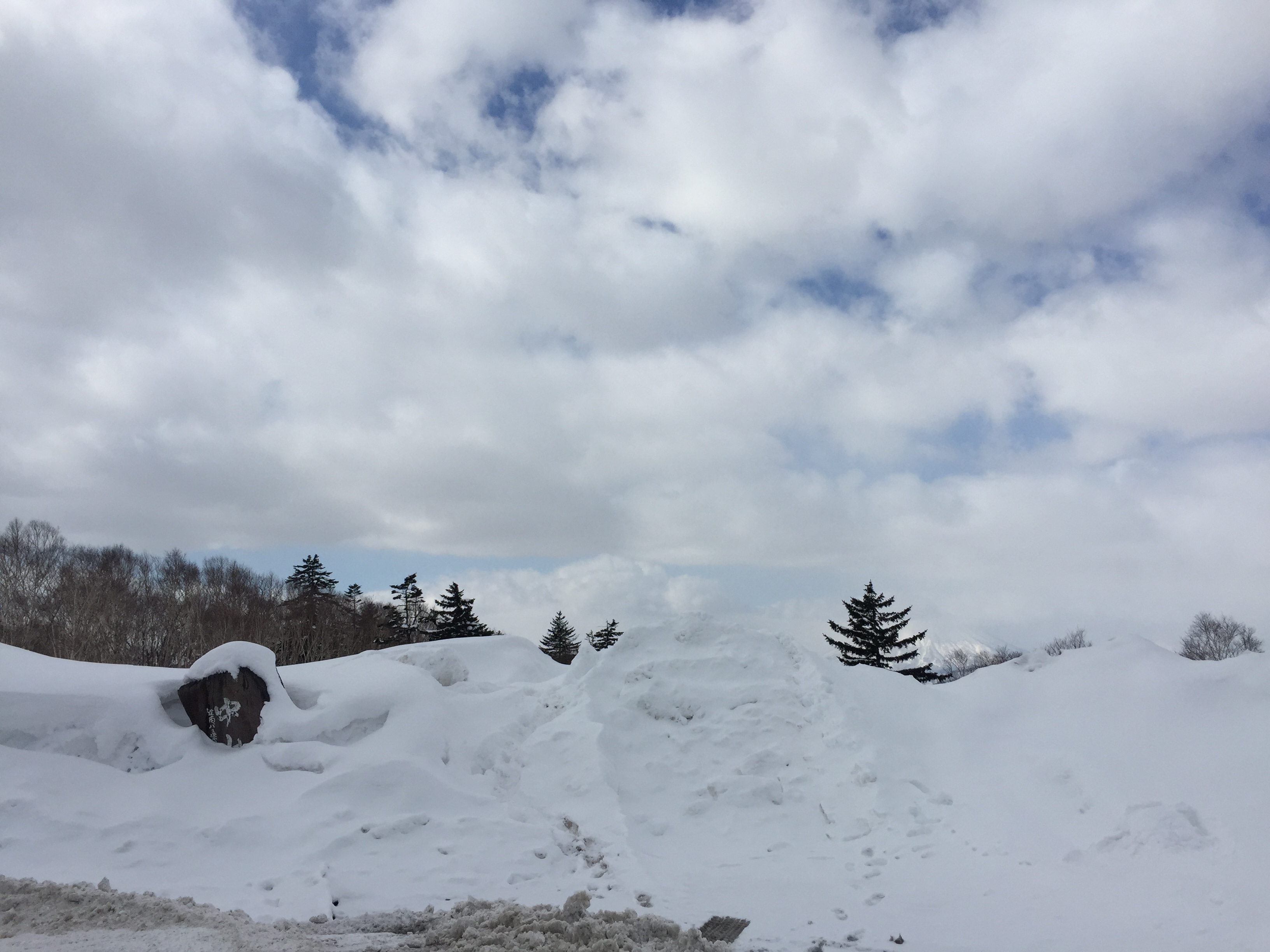 2016-03-15 10.29.30.jpg