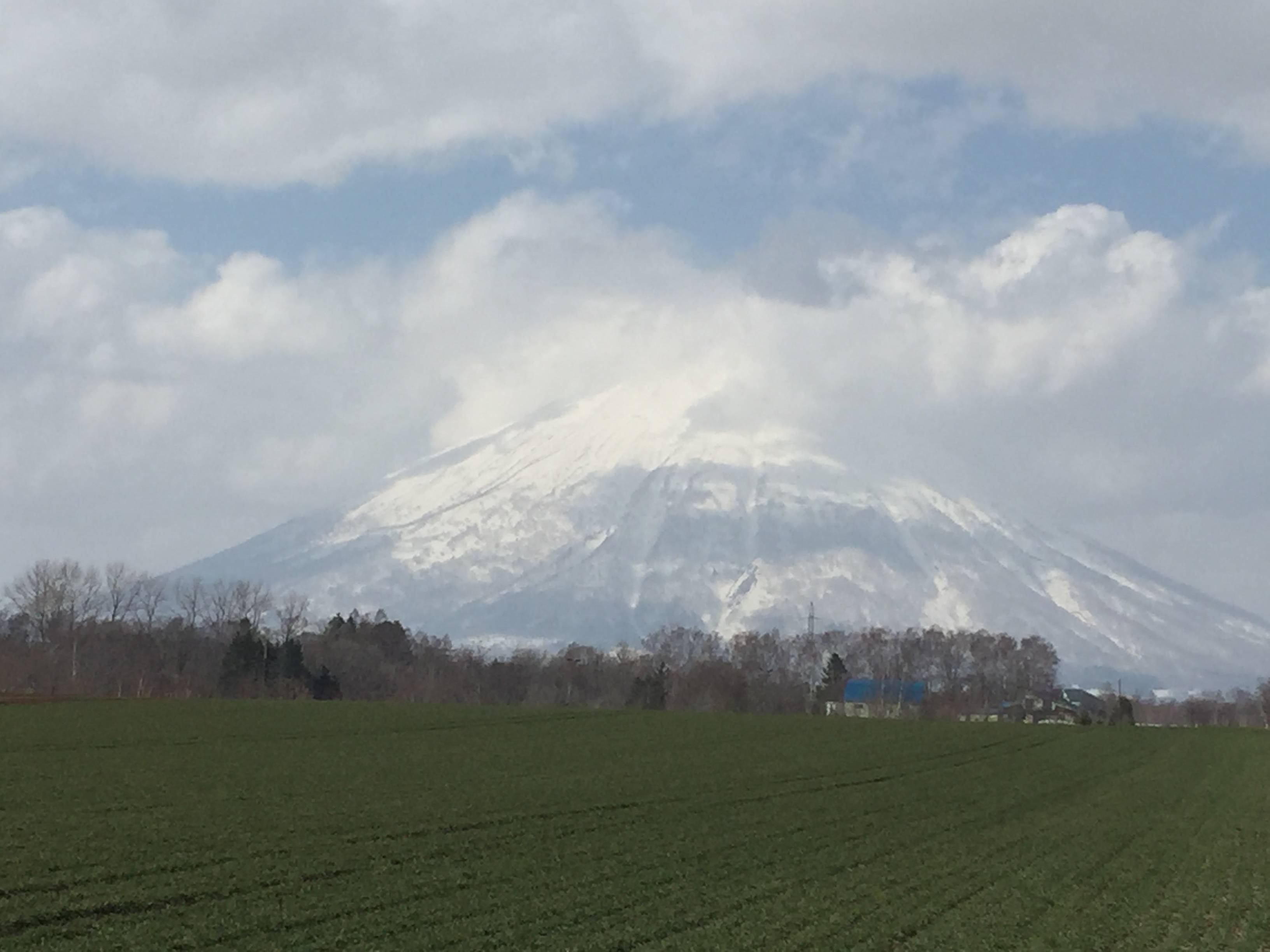 2016-04-09 14.06.04.jpg