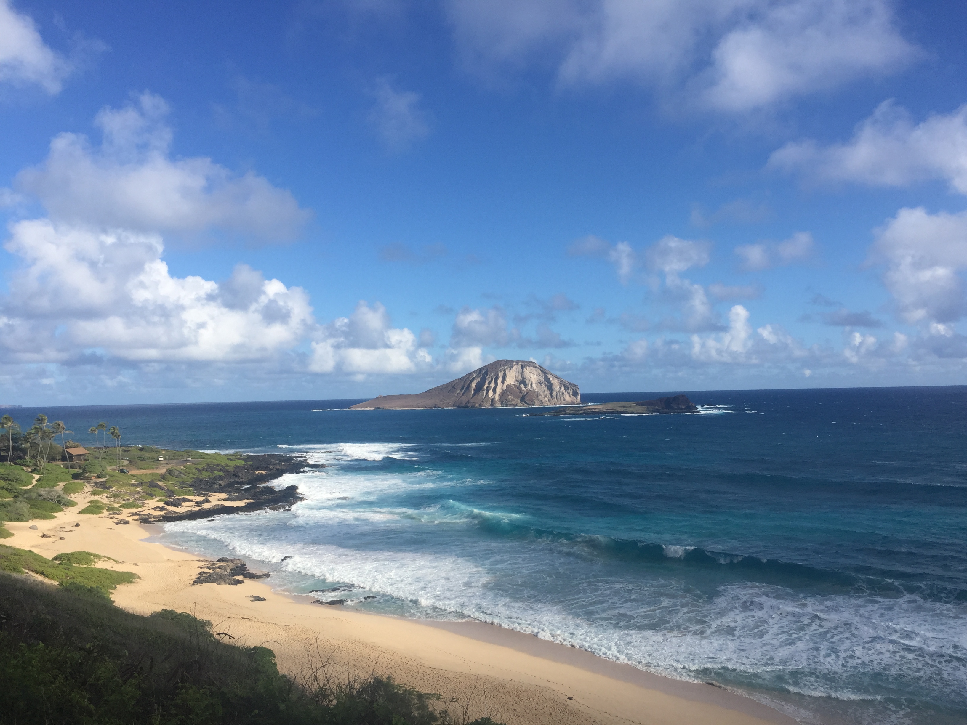 2017-01-25 09.20.29.jpg