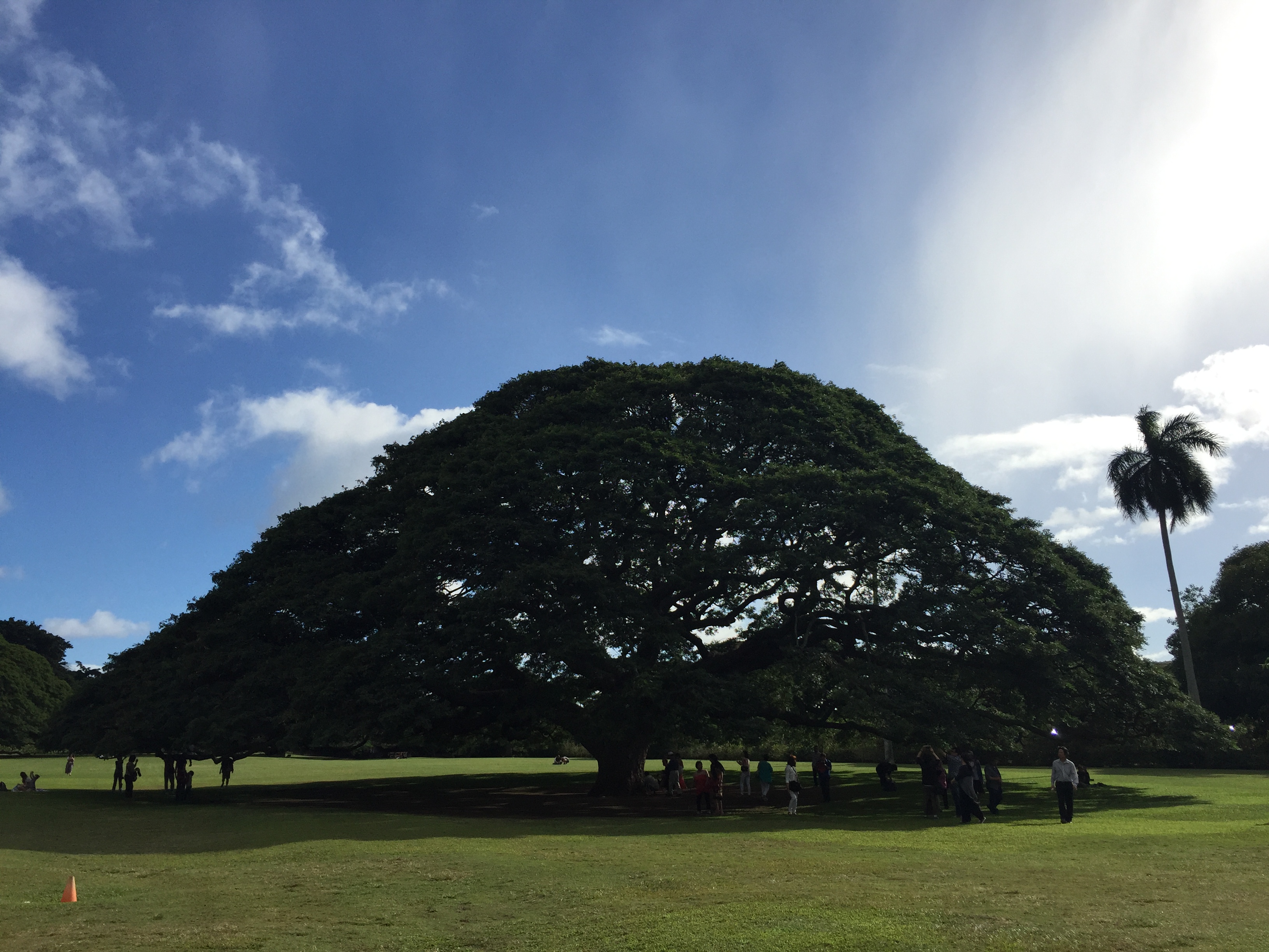 2017-01-25 15.56.35.jpg